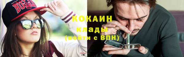 дмт Алзамай
