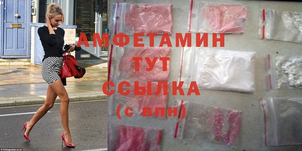 дмт Алзамай