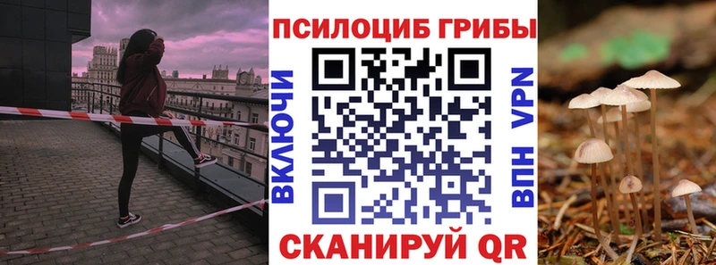 МЕГА зеркало сколько стоит Сухиничи Псилоцибиновые грибы мицелий